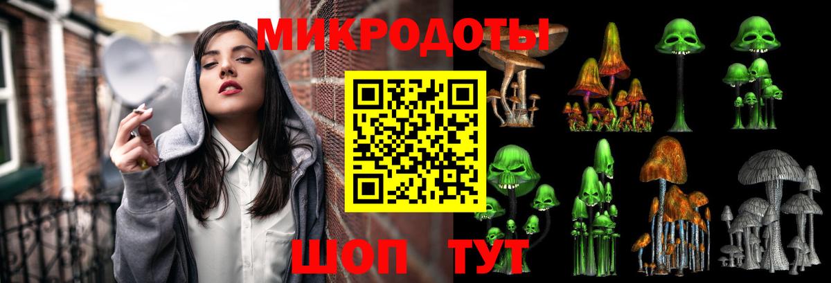 Псилоцибиновые грибы мицелий Омск