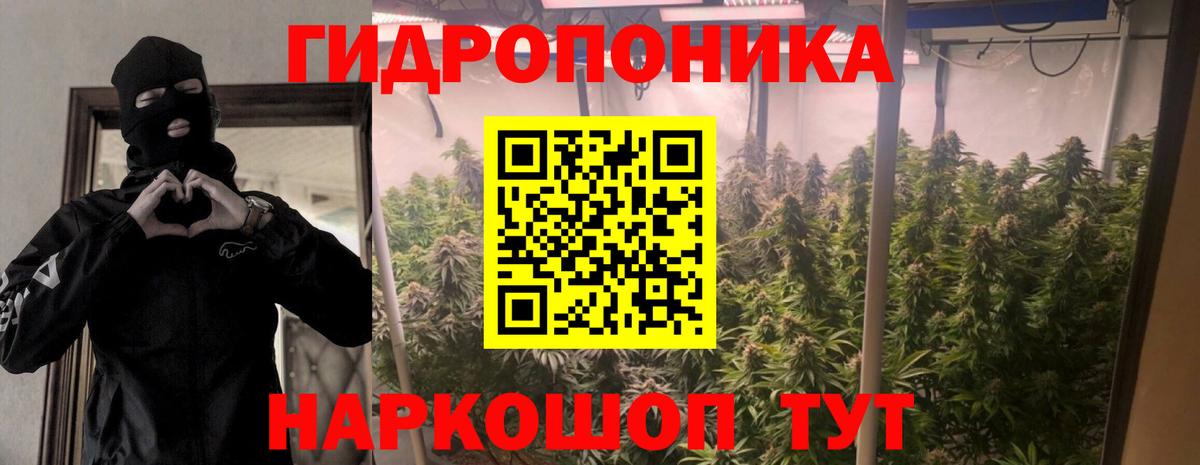 Марихуана планчик Омск